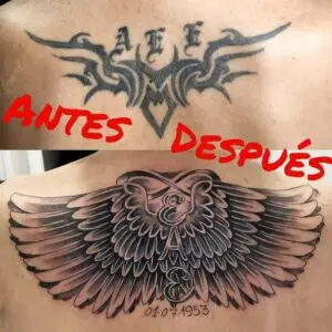 Tattoo cover. Alas en la espalda