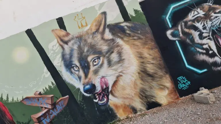Graffiti lobo