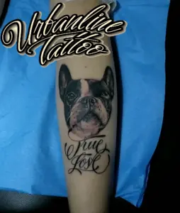 Tattoo bulldog frances