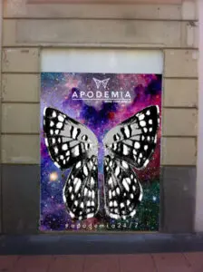 Graffiti tienda Apodemia
