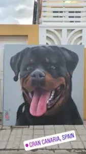 Mural perro rottweiler