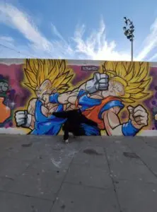 Mural de Goku VS vegeta