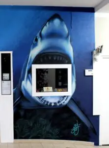 Escuela de buceo profesional de Andalucia.