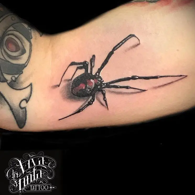 Tatuaje araña realismo