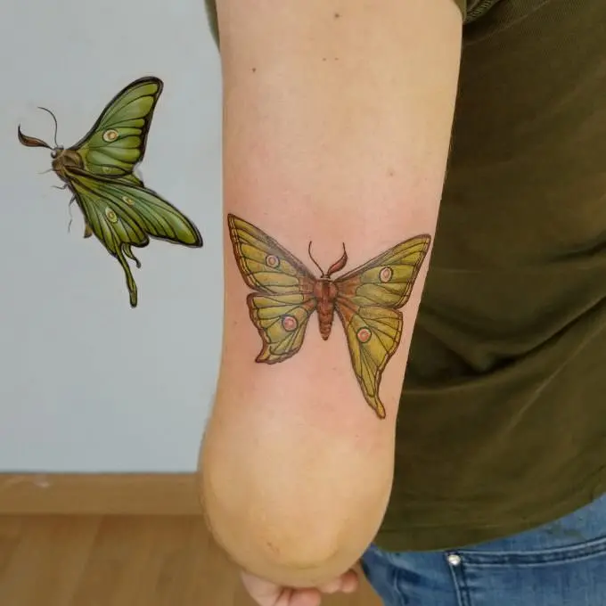 Tatuaje de mariposa a color en el brazo, trabajo de Jimena Outon Martinez