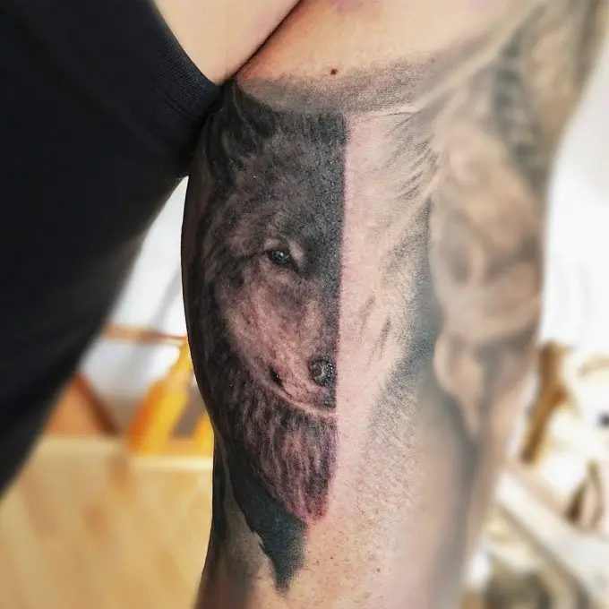 Tatuaje brazo Medio Lobo, trabajo de Jimena Outon Martinez