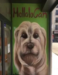 Graffiti decorativo para tienda de animales