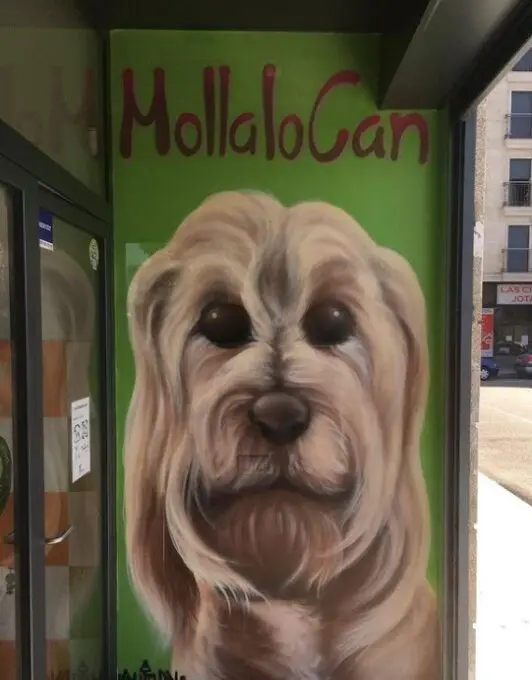 Graffiti decorativo para tienda de animales