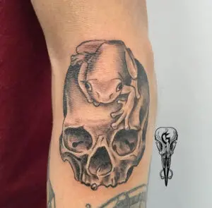 Tattoo calavera con la rana de la universidad de Salamanca