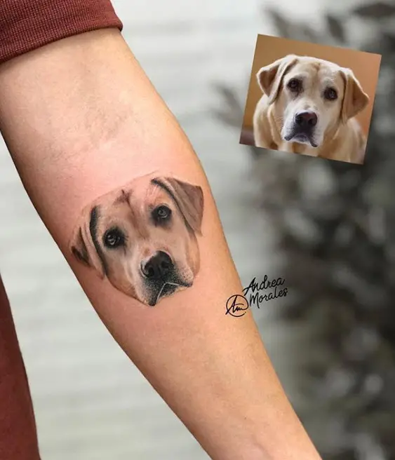 Tatuaje microrealismo mascota