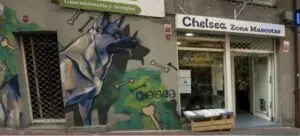 Decoración negocio veterinaria con mural decorativo