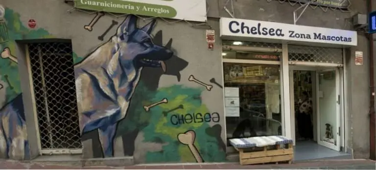 Decoración negocio veterinaria con mural decorativo, trabajo de LevitArt.mad