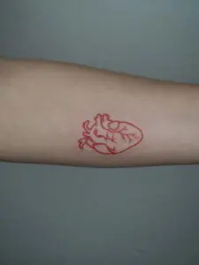 Corazón rojo
